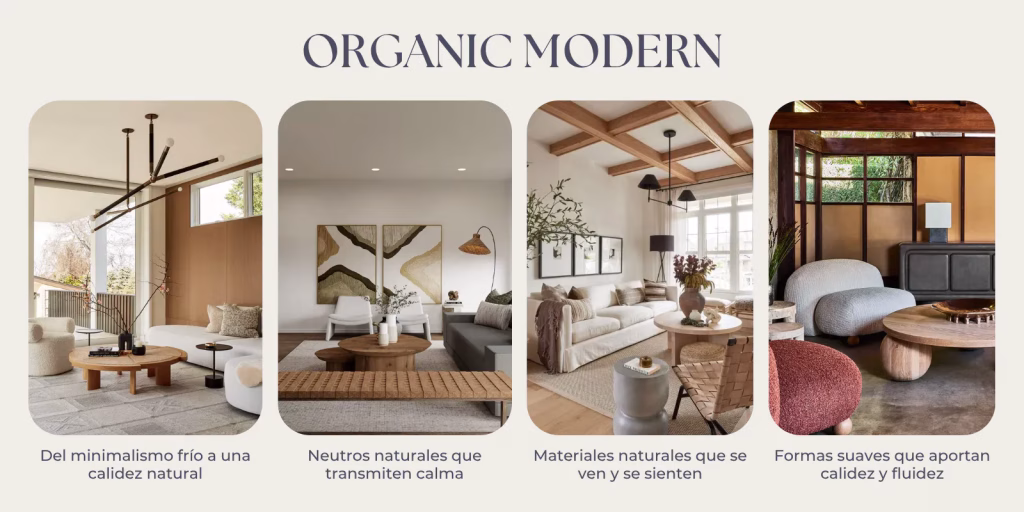 Estilo Organico Moderno DekorAI